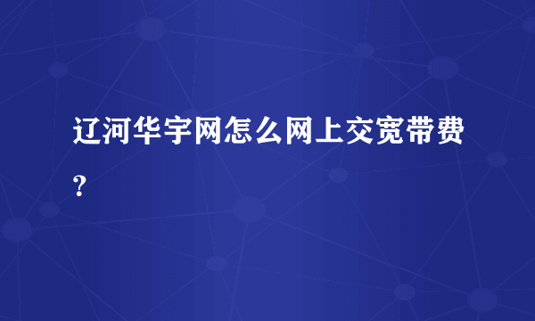 辽河华宇网怎么网上交宽带费？