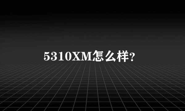 5310XM怎么样？