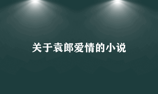 关于袁郎爱情的小说