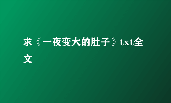 求《一夜变大的肚子》txt全文