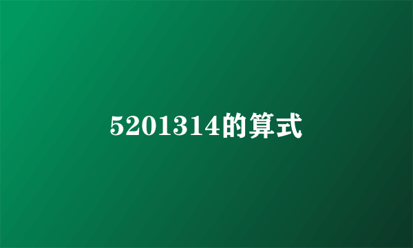 5201314的算式