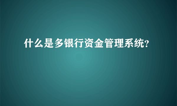 什么是多银行资金管理系统？