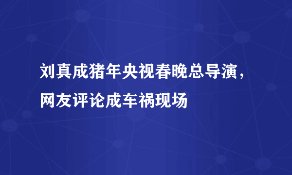 刘真成猪年央视春晚总导演，网友评论成车祸现场