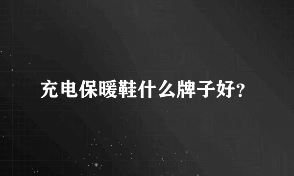 充电保暖鞋什么牌子好？