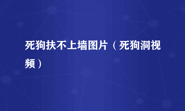 死狗扶不上墙图片（死狗洞视频）