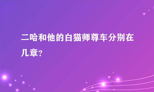 二哈和他的白猫师尊车分别在几章？