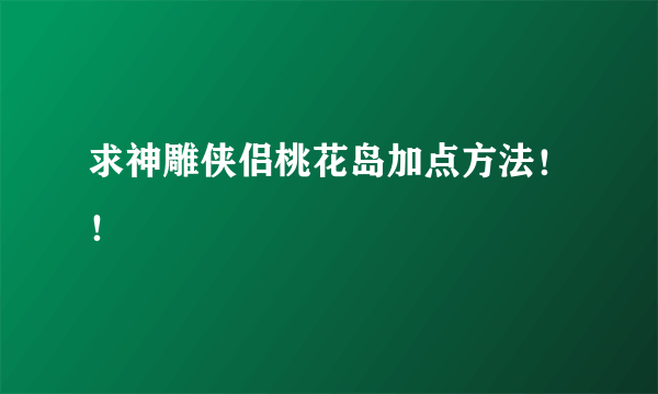 求神雕侠侣桃花岛加点方法！！