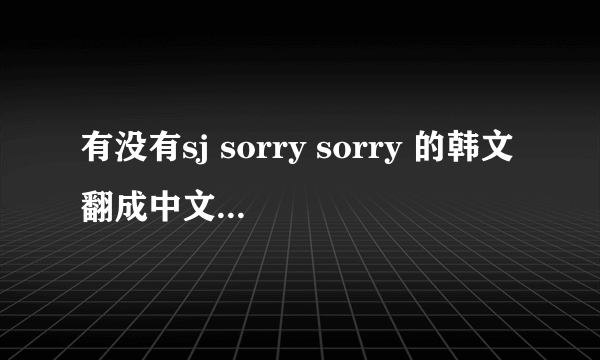 有没有sj sorry sorry 的韩文翻成中文的歌词？