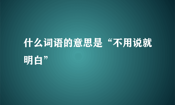 什么词语的意思是“不用说就明白”