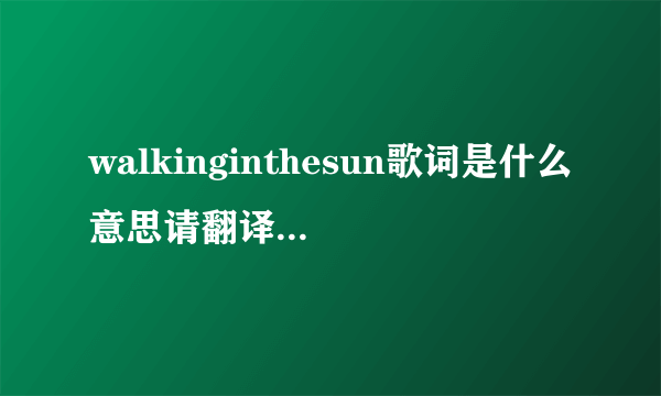 walkinginthesun歌词是什么意思请翻译下```