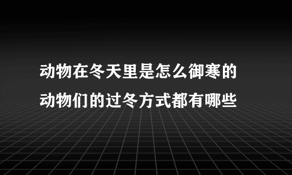 动物在冬天里是怎么御寒的 动物们的过冬方式都有哪些