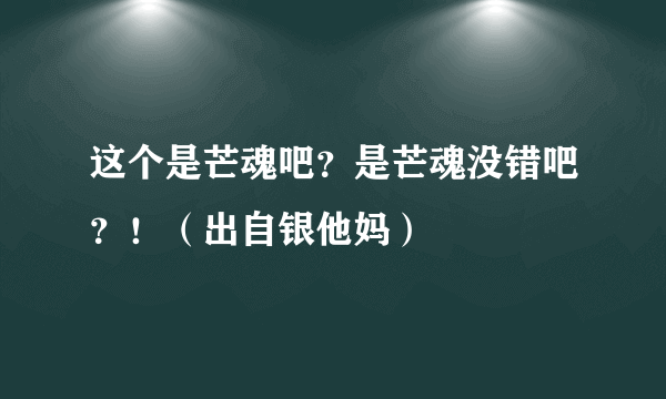 这个是芒魂吧？是芒魂没错吧？！（出自银他妈）