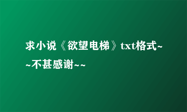 求小说《欲望电梯》txt格式~~不甚感谢~~