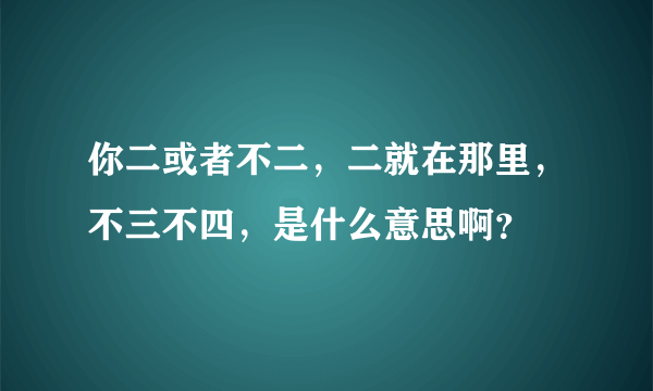 你二或者不二，二就在那里，不三不四，是什么意思啊？