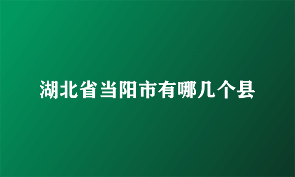 湖北省当阳市有哪几个县