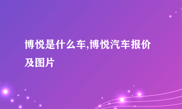 博悦是什么车,博悦汽车报价及图片