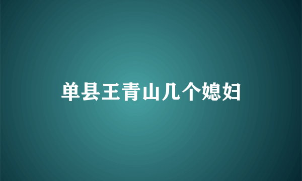 单县王青山几个媳妇