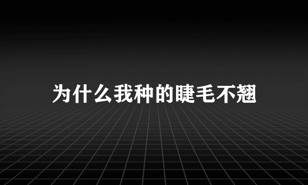 为什么我种的睫毛不翘