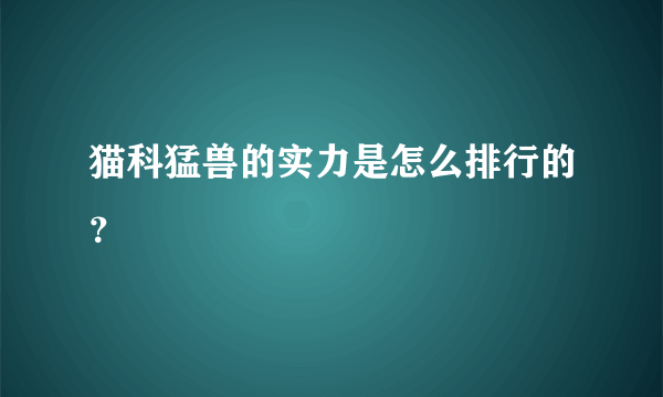 猫科猛兽的实力是怎么排行的？