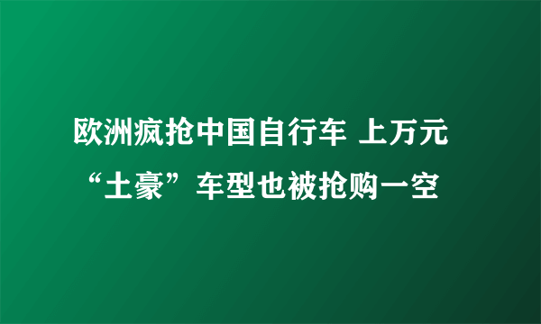 欧洲疯抢中国自行车 上万元“土豪”车型也被抢购一空