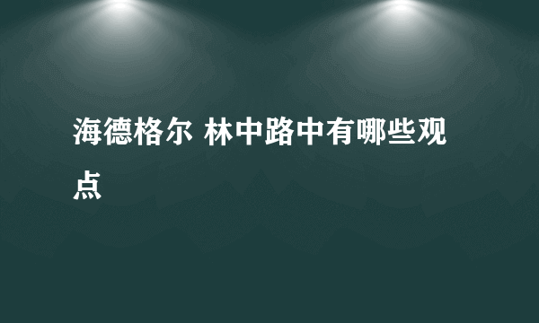 海德格尔 林中路中有哪些观点