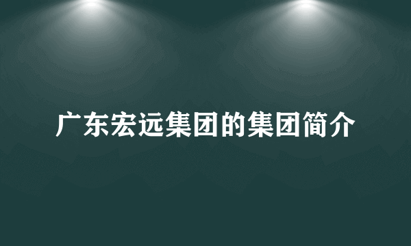 广东宏远集团的集团简介