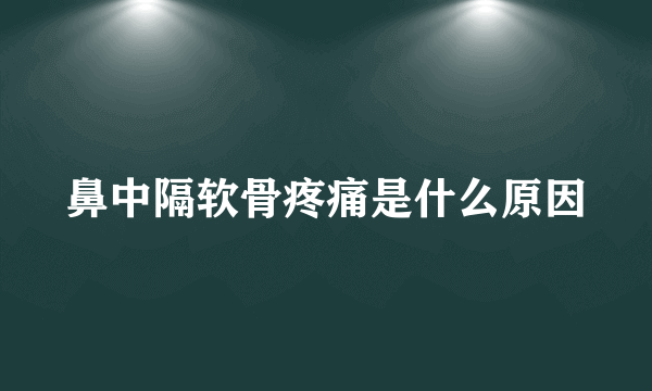 鼻中隔软骨疼痛是什么原因