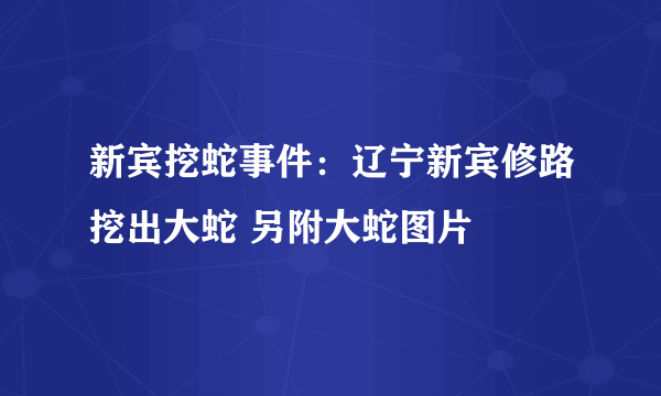 新宾挖蛇事件：辽宁新宾修路挖出大蛇 另附大蛇图片