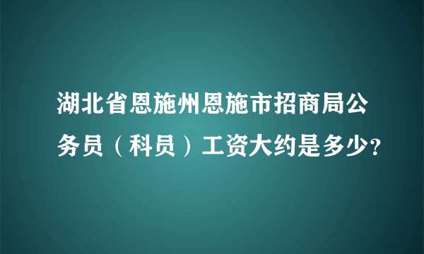 湖北省恩施州恩施市招商局公务员（科员）工资大约是多少？