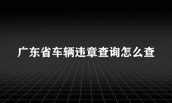 广东省车辆违章查询怎么查