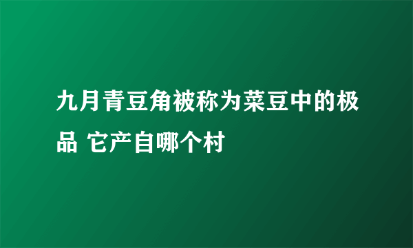 九月青豆角被称为菜豆中的极品 它产自哪个村