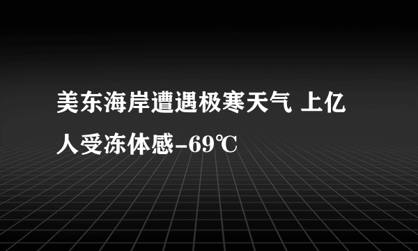 美东海岸遭遇极寒天气 上亿人受冻体感-69℃