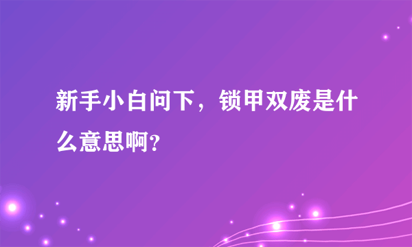 新手小白问下，锁甲双废是什么意思啊？