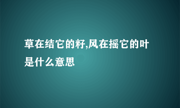 草在结它的籽,风在摇它的叶是什么意思