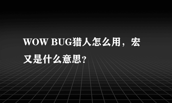 WOW BUG猎人怎么用，宏又是什么意思？