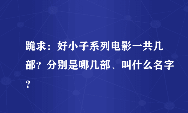 跪求：好小子系列电影一共几部？分别是哪几部、叫什么名字？