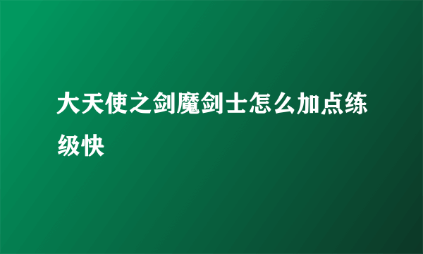 大天使之剑魔剑士怎么加点练级快