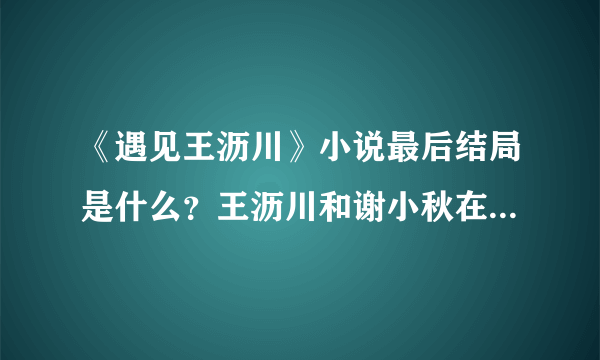 《遇见王沥川》小说最后结局是什么？王沥川和谢小秋在一起吗？