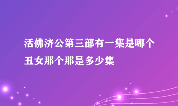 活佛济公第三部有一集是哪个丑女那个那是多少集