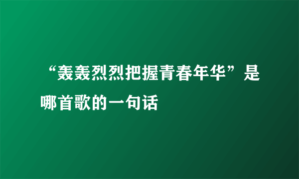 “轰轰烈烈把握青春年华”是哪首歌的一句话