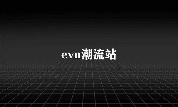 evn潮流站