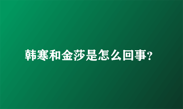 韩寒和金莎是怎么回事？