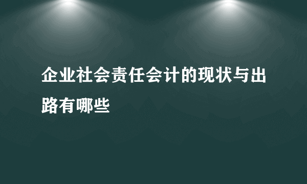 企业社会责任会计的现状与出路有哪些