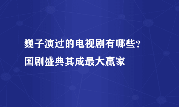 巍子演过的电视剧有哪些？ 国剧盛典其成最大赢家