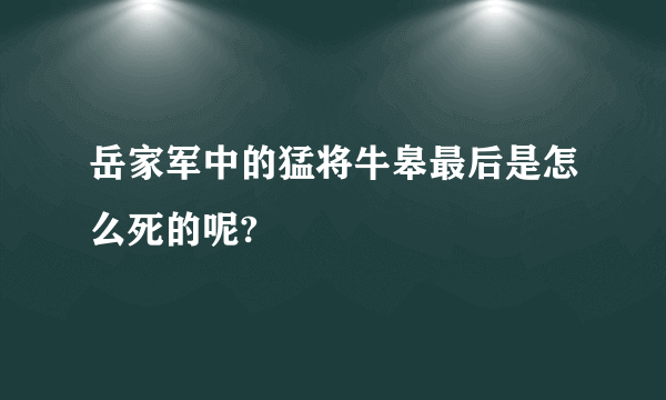 岳家军中的猛将牛皋最后是怎么死的呢?