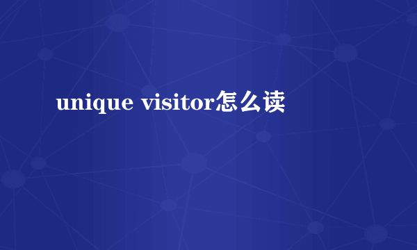 unique visitor怎么读