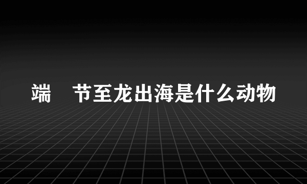 端陽节至龙出海是什么动物