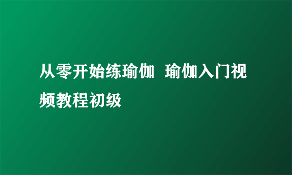 从零开始练瑜伽  瑜伽入门视频教程初级