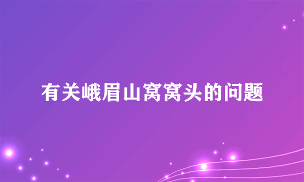 有关峨眉山窝窝头的问题