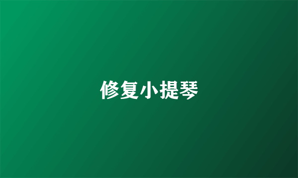 修复小提琴